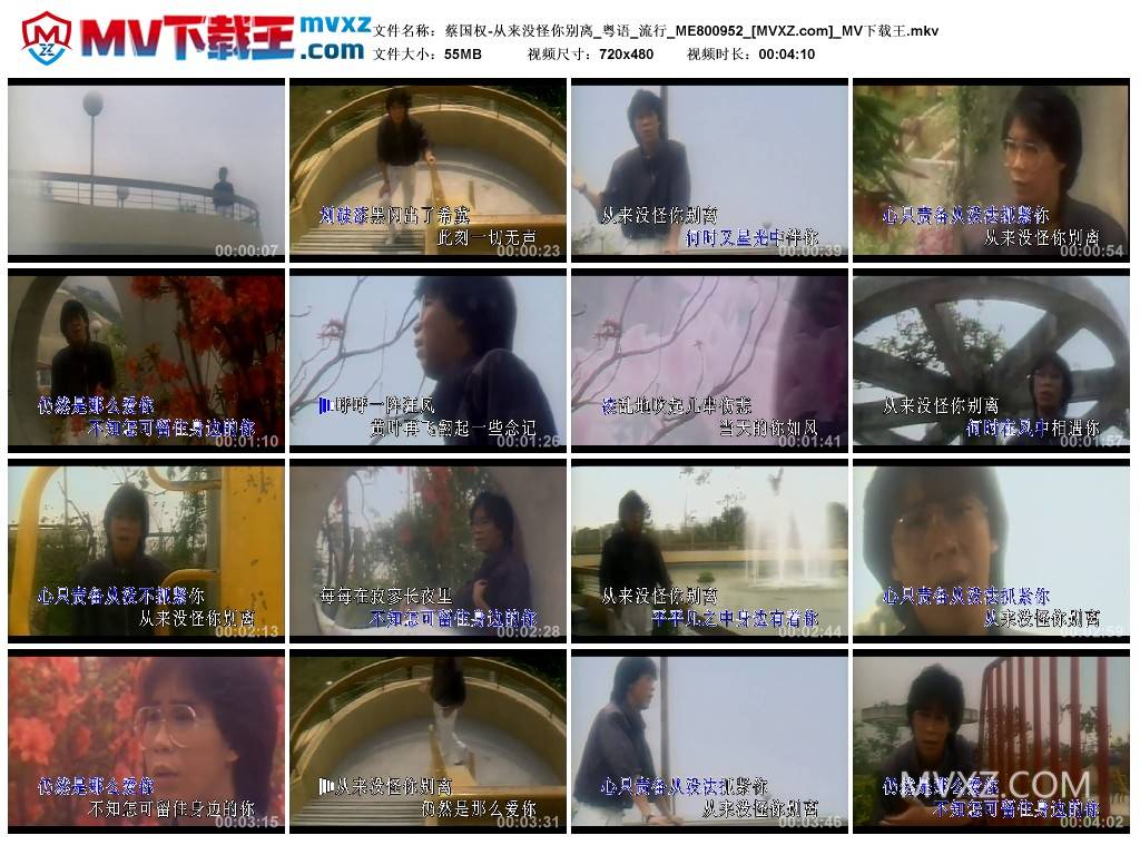 蔡国权-从来没怪你别离_粤语_流行_ME800952